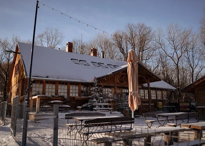 Hotel Debowiec520 3*