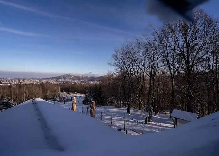 Debowiec520 Bílsko-Bělá