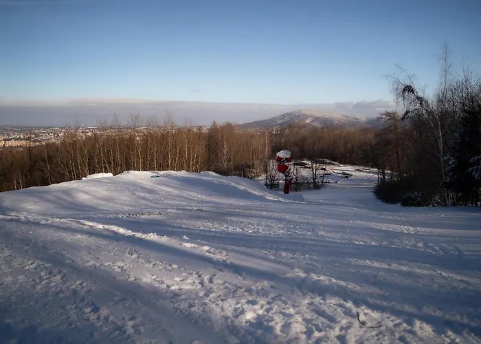 Debowiec520 Hotel 3*