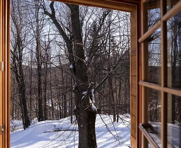 Debowiec520 Hotel 3*